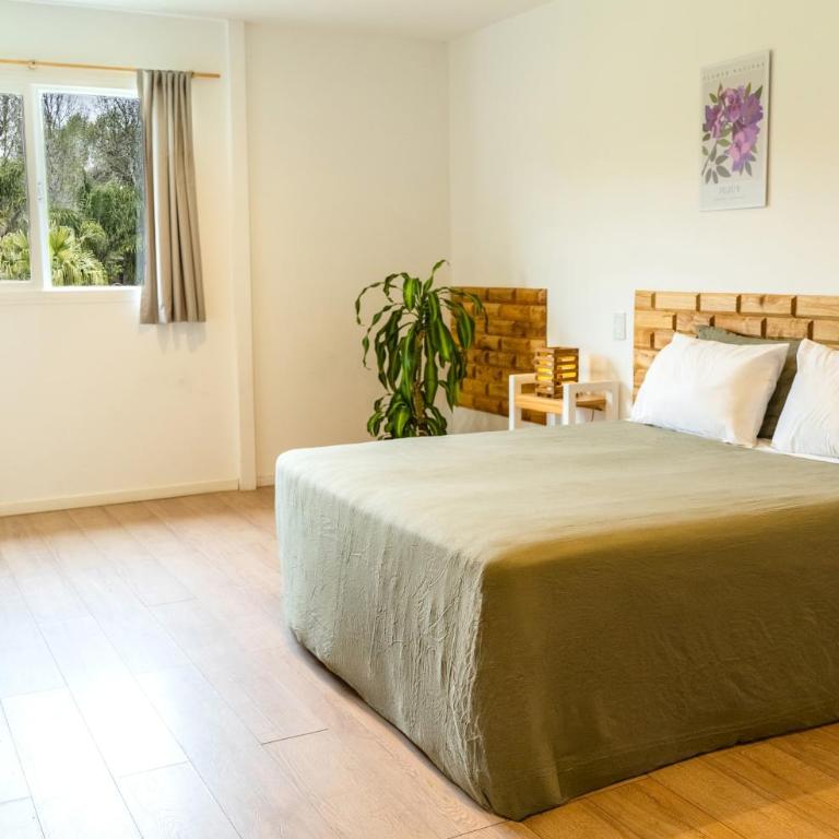Delta Eco Resort & Spa - Habitación Estándar - 1