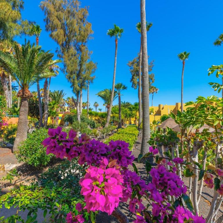 Palmira Sea View and Lobos Island Corralejo - Apartment mit 1 Schlafzimmer - 28