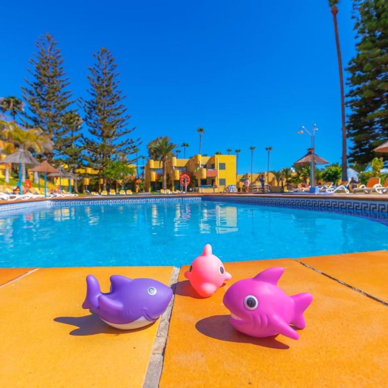 Palmira Sea View and Lobos Island Corralejo - Apartment mit 1 Schlafzimmer - 26
