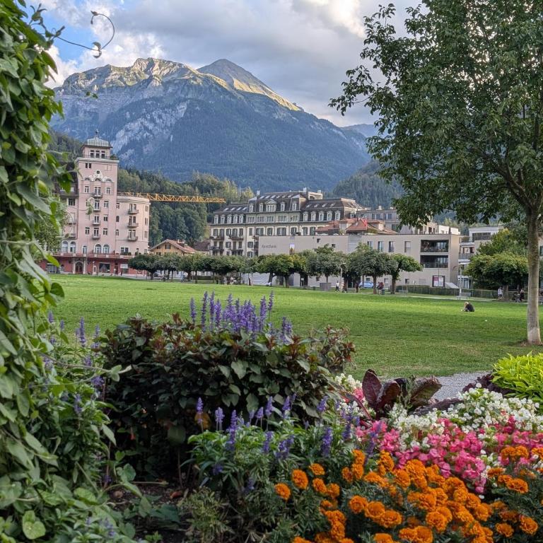 Centralstrasse Apartment, Heart of Interlaken - Two-Bedroom Apartment with Balcony - 32