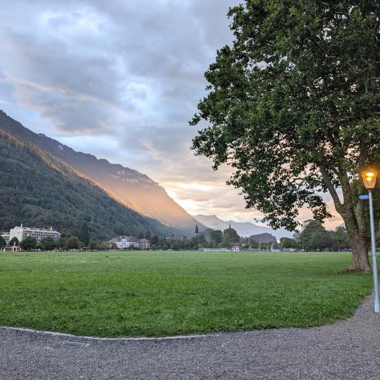 Centralstrasse Apartment, Heart of Interlaken - Two-Bedroom Apartment with Balcony - 24