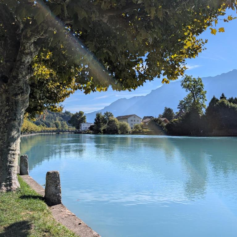 Centralstrasse Apartment, Heart of Interlaken - Two-Bedroom Apartment with Balcony - 49