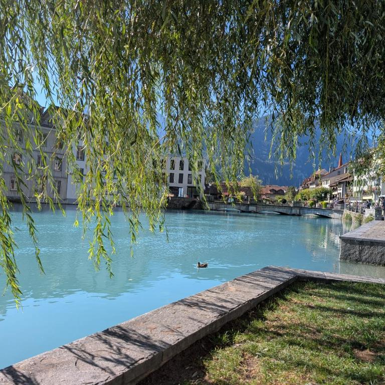 Centralstrasse Apartment, Heart of Interlaken - Two-Bedroom Apartment with Balcony - 51