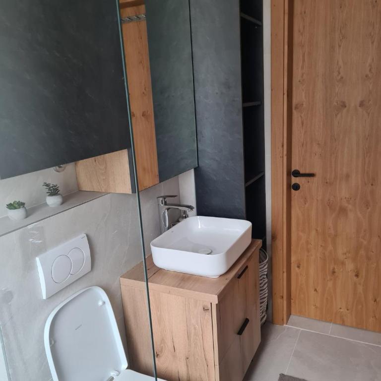 Well Mont apart 9 - Apartment mit 1 Schlafzimmer - 10