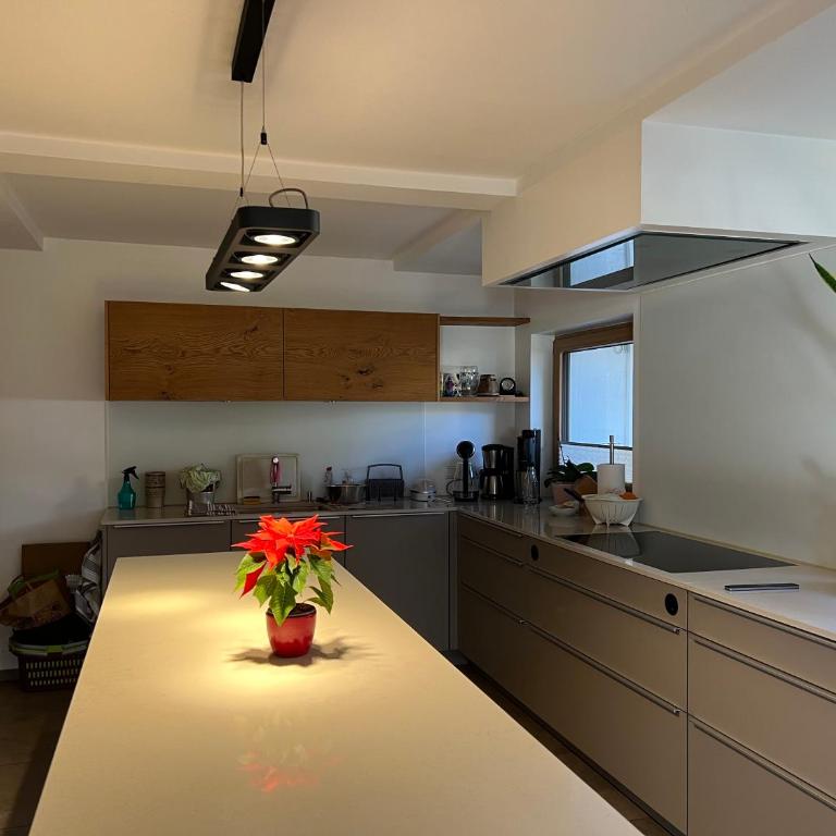 Gästehaus Apollo - Habitación Familiar Deluxe - 6