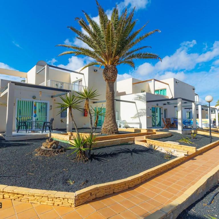 Casa Martina Corralejo Center iRent Fuerteventura - Appartement - Rez-de-Chaussée - 3