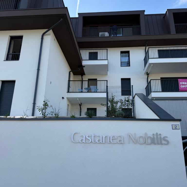 Castanea Nobilis next to the Lac Léman - Appartement 1 Chambre - 7