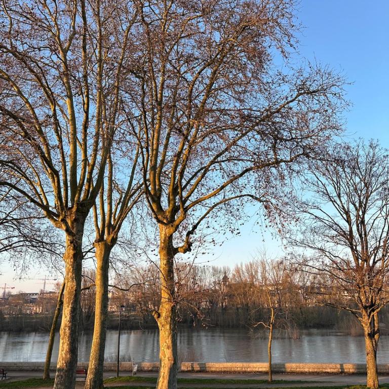 L'escale de Jeanne, Studio moderne vue Loire - Appartement 1 Chambre - 20