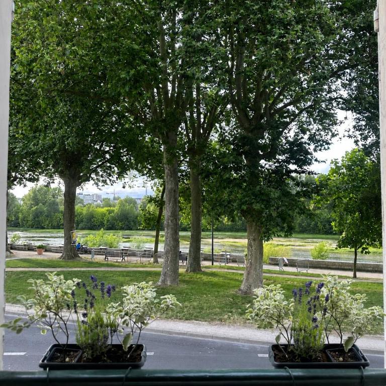 L'escale de Jeanne, Studio moderne vue Loire - Appartement 1 Chambre - 12
