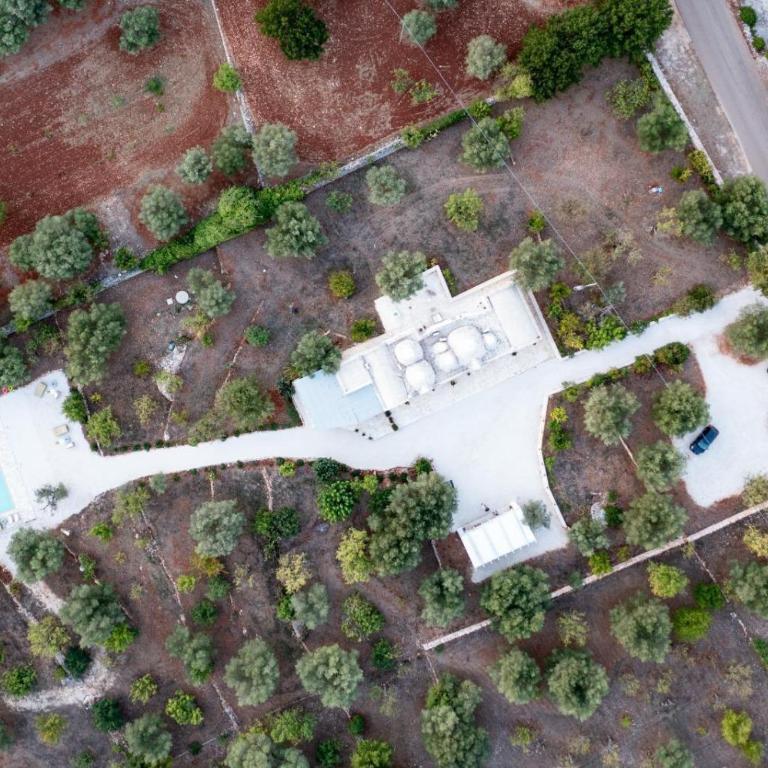 Trulli delle Stelle - Casa Vacanze - 1