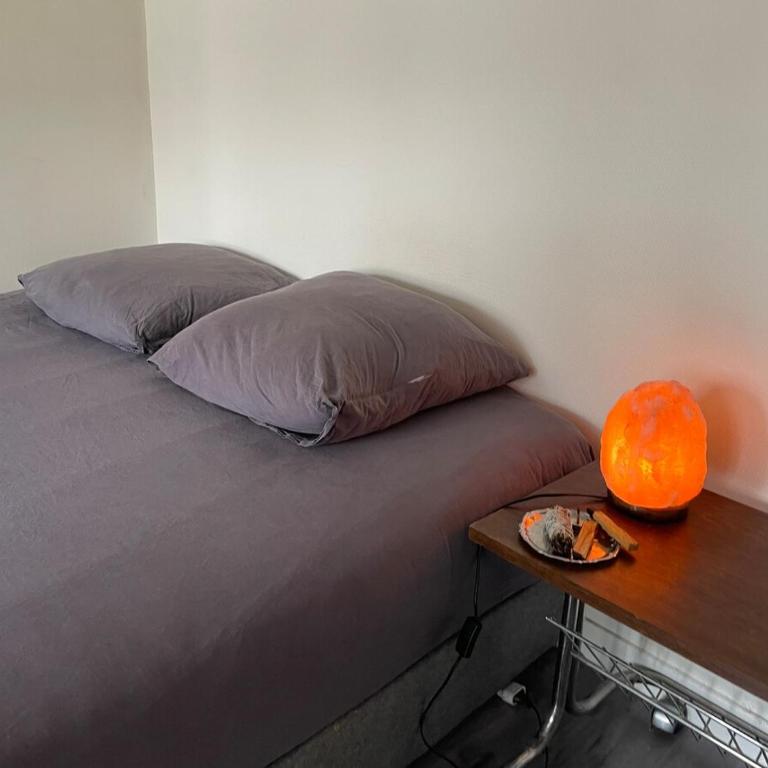 Designer apartment in the middle of Paris - Appartement Standard - 13