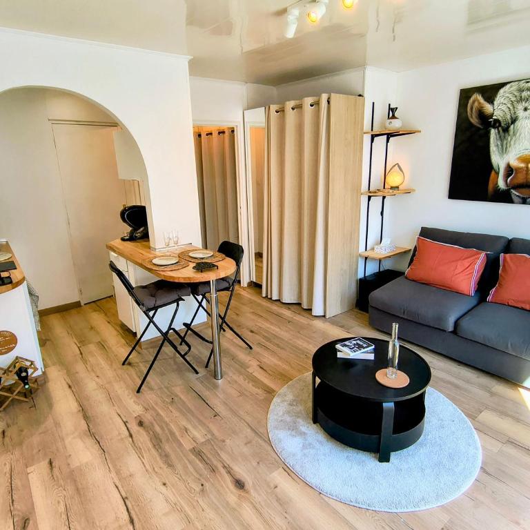 Studio Centre Historique gare 500m - Apartamento Superior de 1 dormitorio con balcón - 1
