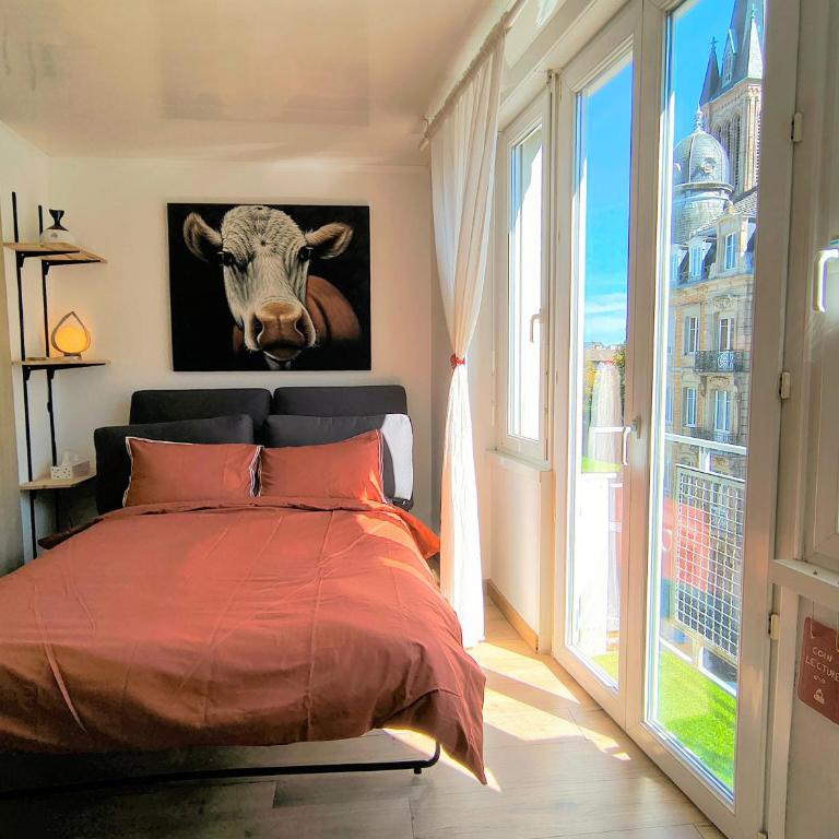 Studio Centre Historique gare 500m - Apartamento Superior de 1 dormitorio con balcón - 2
