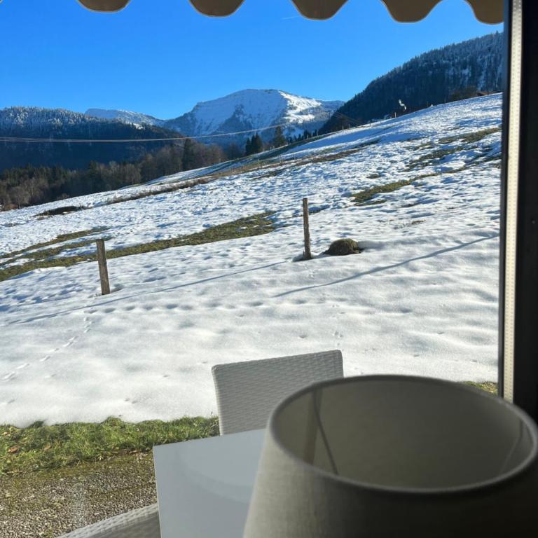 Hochgratblick bei Pierre - Apartment mit 1 Schlafzimmer - 6