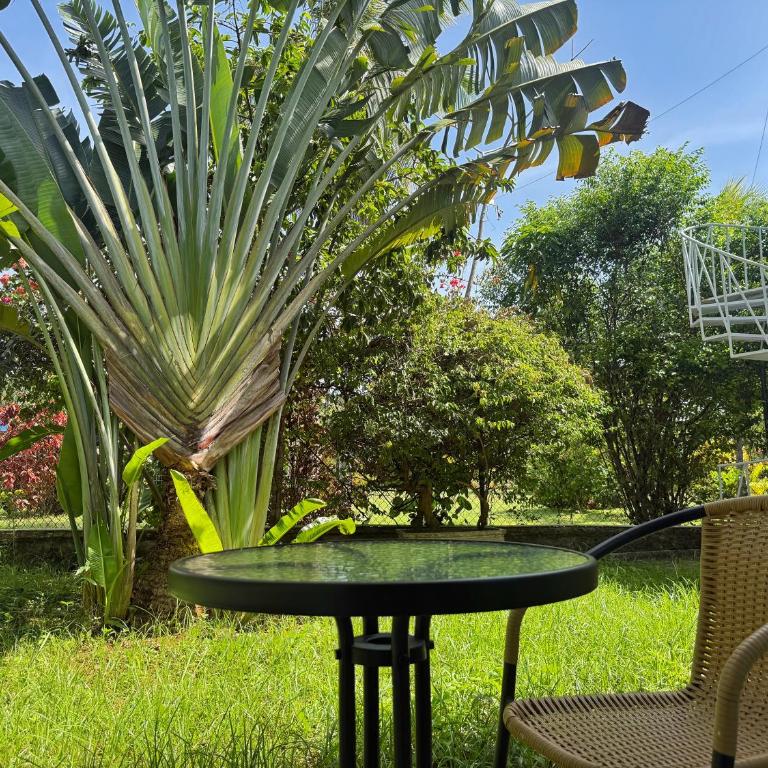 Villa boutique con piscina y vehículo - Casa de 4 dormitorios - 13