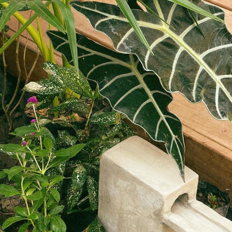 Bali Inspired Tropical Home - Apartamento de 1 dormitorio - 12