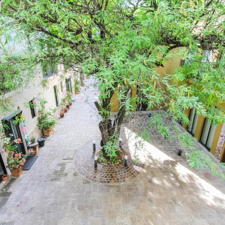Charming casita in San Antonio - Vacation Home - 29