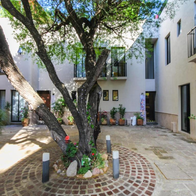 Charming casita in San Antonio - Vacation Home - 7