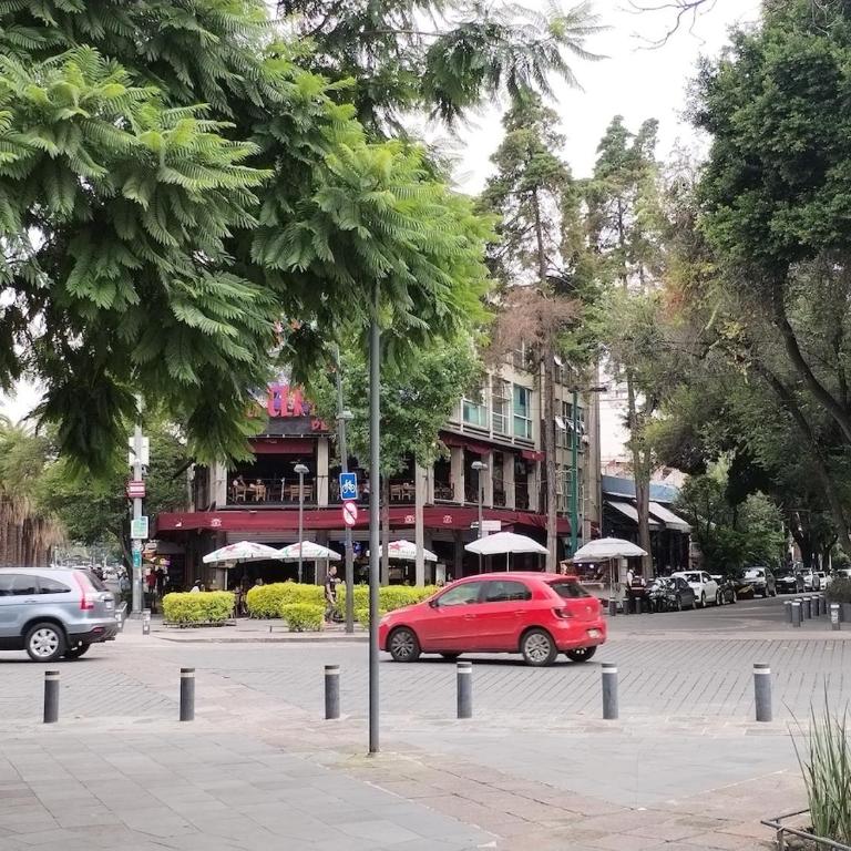 Extraordinaria Casa dentro del corazón de la Roma Norte CDMX - Three-Bedroom Apartment - 6