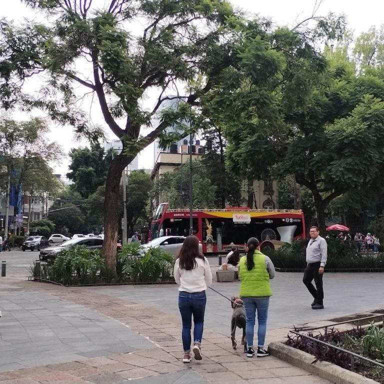 Extraordinaria Casa dentro del corazón de la Roma Norte CDMX - Three-Bedroom Apartment - 5