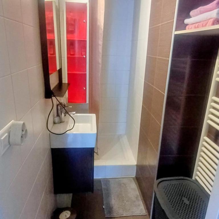 Bellerive, pieds dans l'eau lac & montagnes - Appartement 1 Chambre - 6