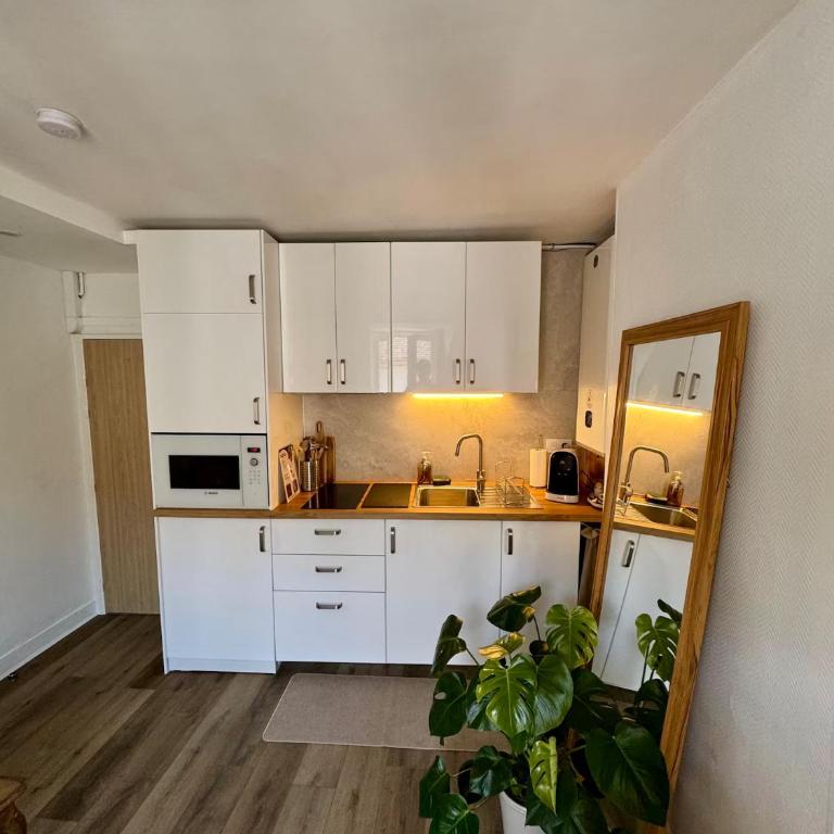 T2 climatisé en hyper-centre - 5 min Cité Gastro - One-Bedroom Apartment - 11