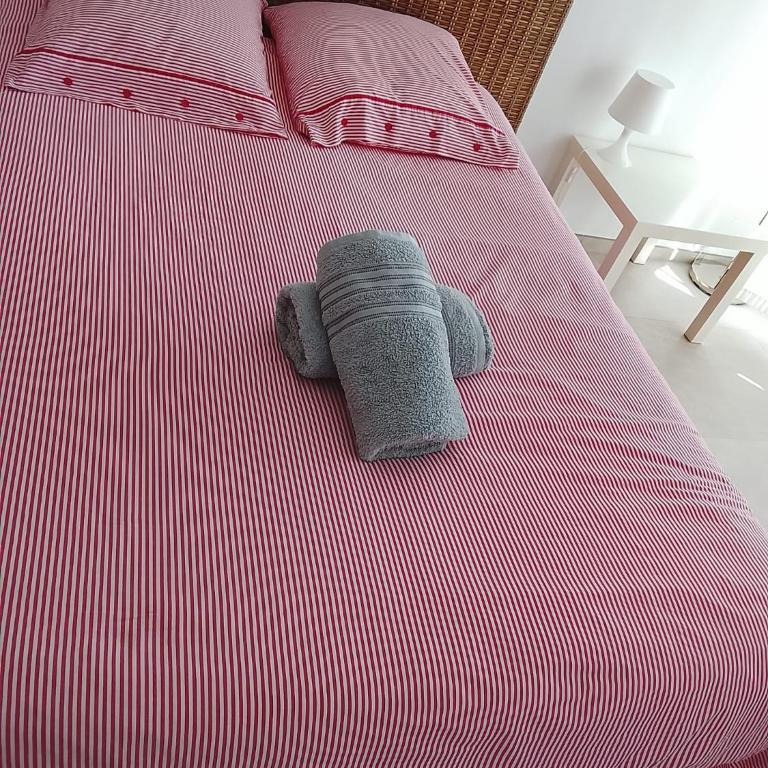 Heraclee - Apartamento de 1 dormitorio - 6