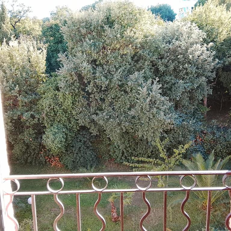 Heraclee - Apartamento de 1 dormitorio - 15