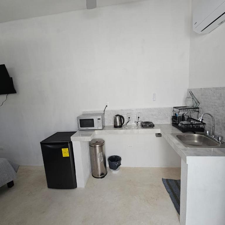 Studio Privado Centrico - Deluxe King Studio - 6