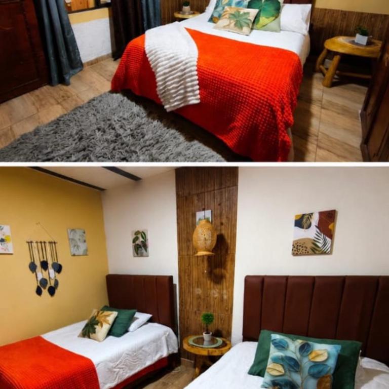 Casa Naranja Salento-Casa completa cerca del Parque - Casa de 3 dormitorios - 10