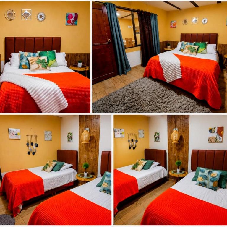 Casa Naranja Salento-Casa completa cerca del Parque - Casa de 3 dormitorios - 1