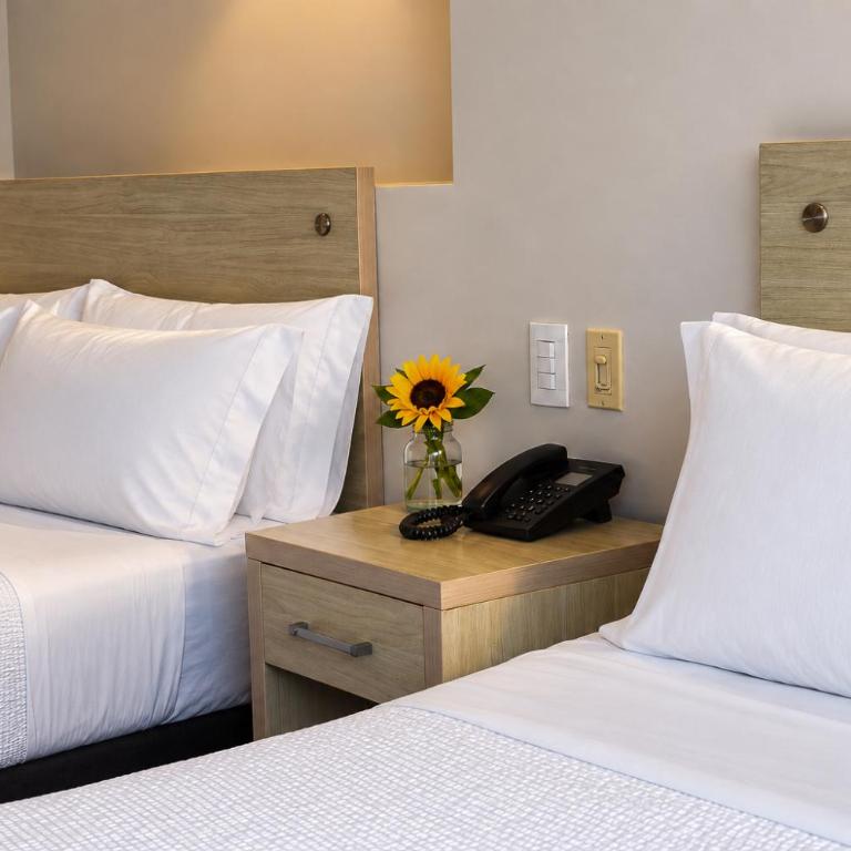 Hotel Summer Frente Al Mar - Standard Triple Room - 1