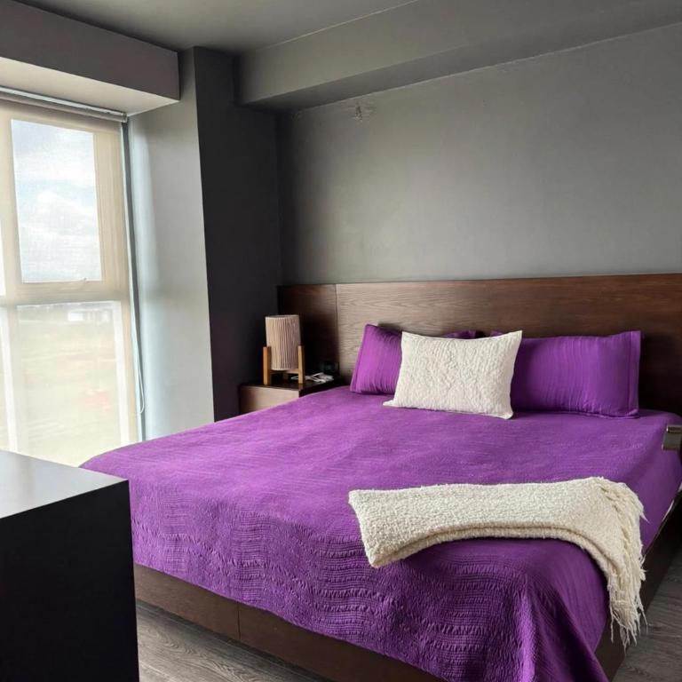 Zona Real Apt Near Tec, Andares & Real Center - Apartment mit 1 Schlafzimmer - 26