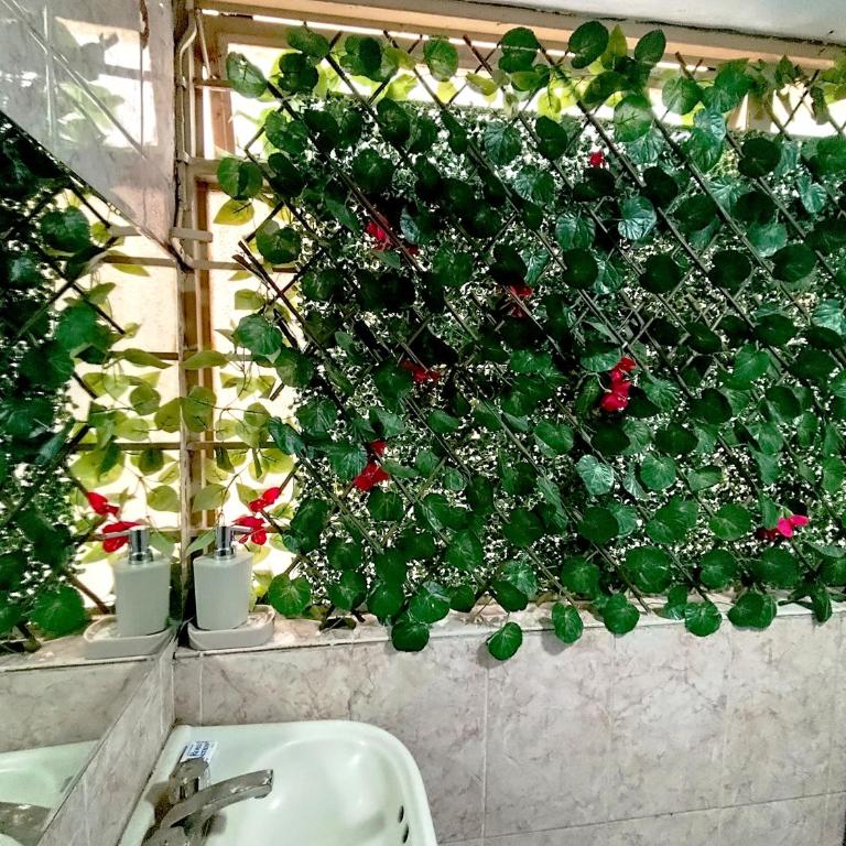 Departamento en el corazón de Oaxaca - Apartamento de 2 dormitorios - 22