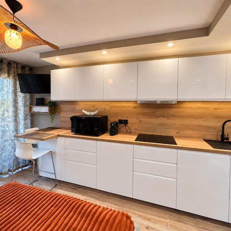Studio orcadia piscine climatisation parking wifi - Appartement 1 Chambre - 2