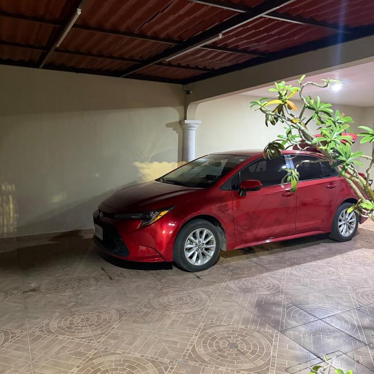 House Apartment Cerca del Centro Patio Pet Friendly - One-Bedroom Apartment - 7
