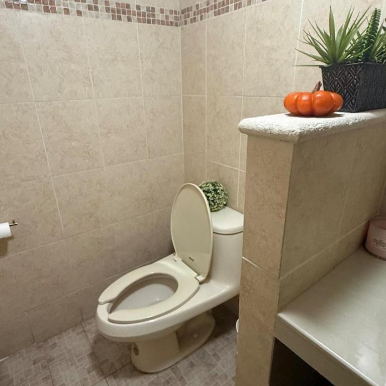 House Apartment Cerca del Centro Patio Pet Friendly - One-Bedroom Apartment - 48