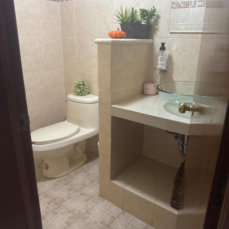 House Apartment Cerca del Centro Patio Pet Friendly - One-Bedroom Apartment - 49