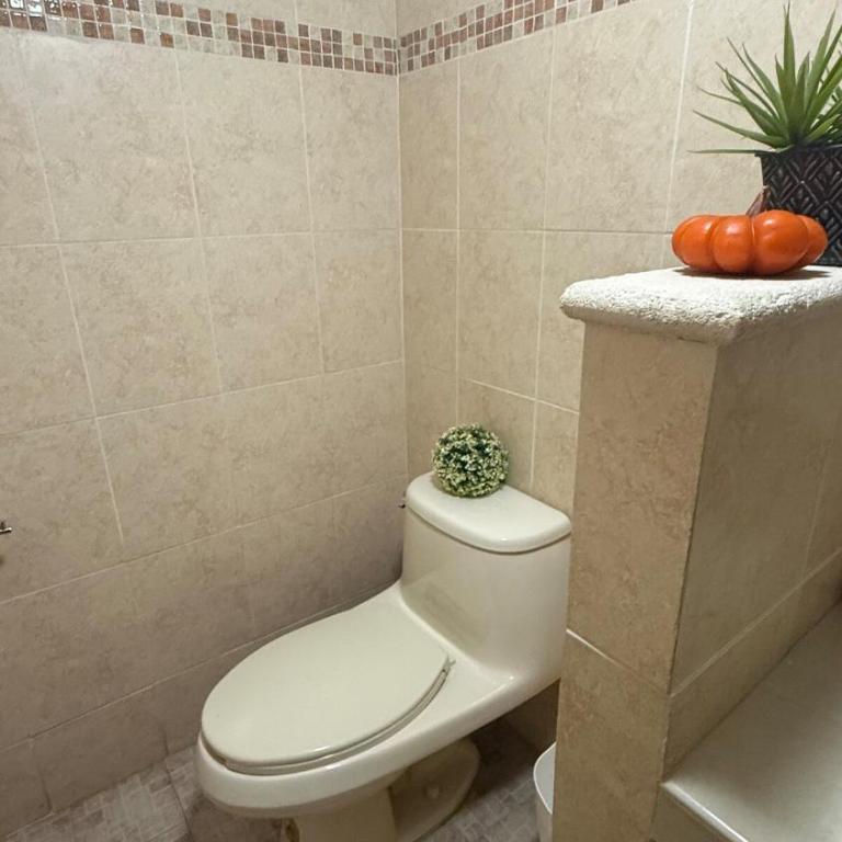 House Apartment Cerca del Centro Patio Pet Friendly - One-Bedroom Apartment - 51