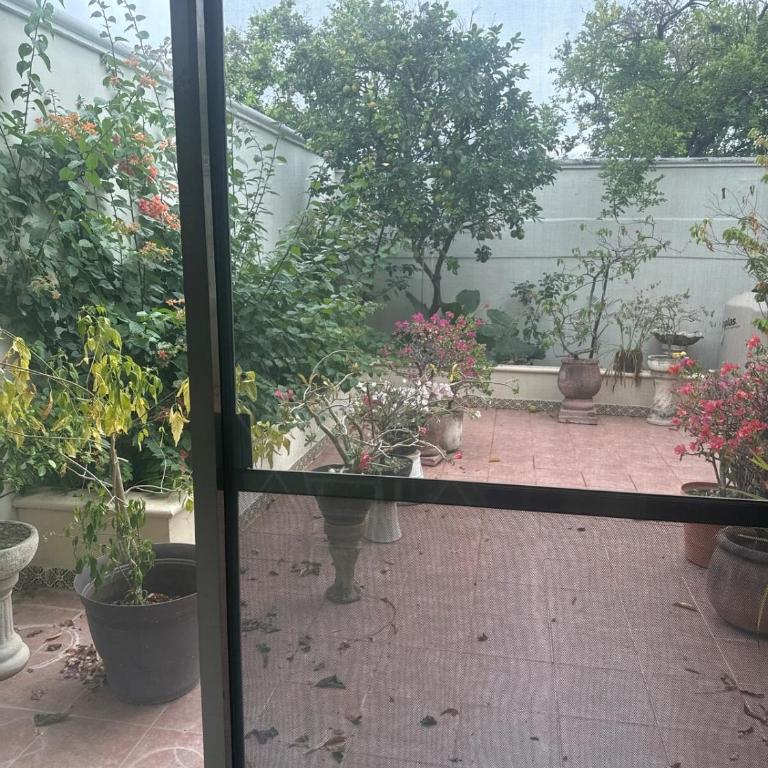 House Apartment Cerca del Centro Patio Pet Friendly - One-Bedroom Apartment - 53