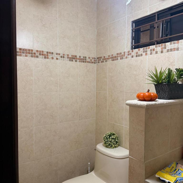 House Apartment Cerca del Centro Patio Pet Friendly - One-Bedroom Apartment - 62