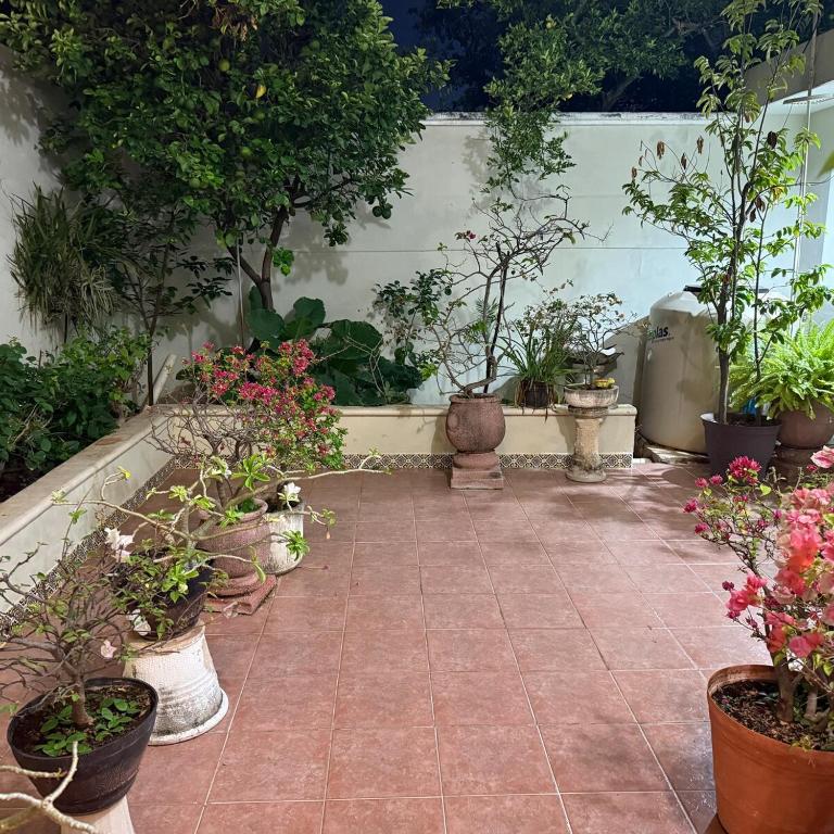 House Apartment Cerca del Centro Patio Pet Friendly - One-Bedroom Apartment - 73