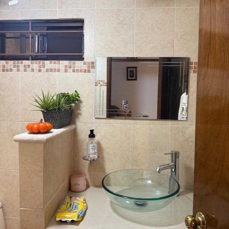 House Apartment Cerca del Centro Patio Pet Friendly - One-Bedroom Apartment - 76