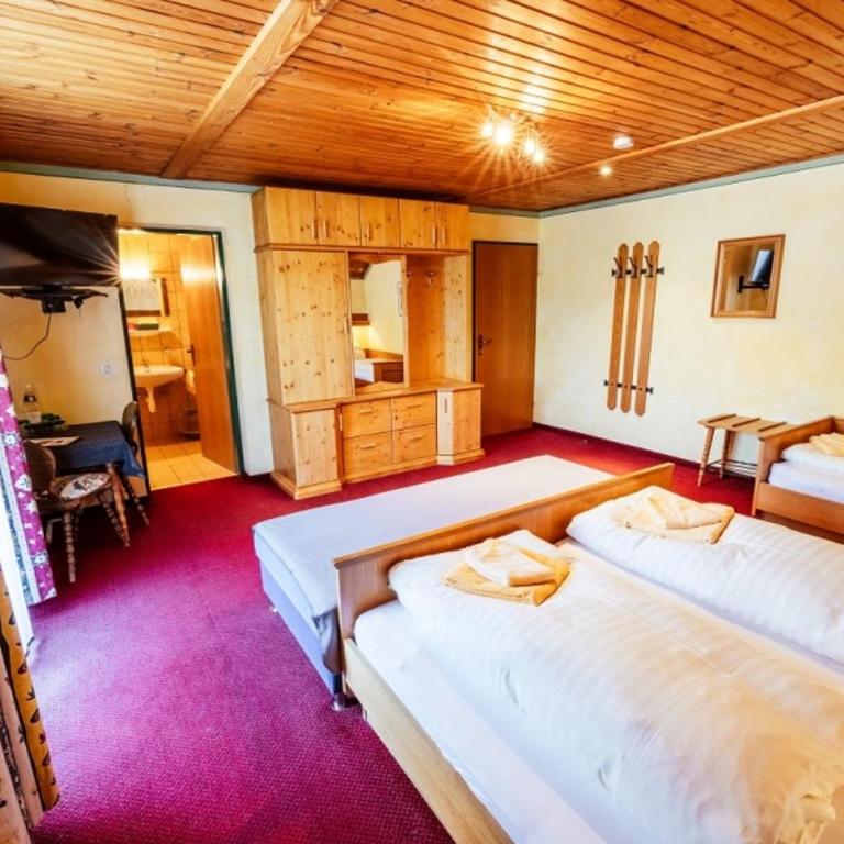 Hammerschmied Bed&Breakfast - Dreibettzimmer mit Bergblick - 1