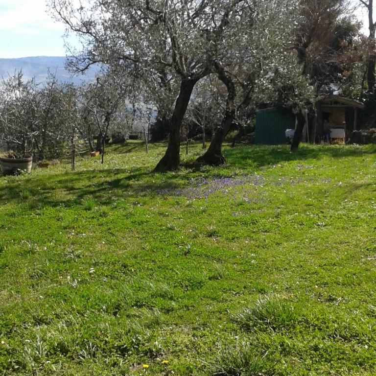 Casa Vacanze Porta Vecchia - Casa con 1 Camera da Letto - 25