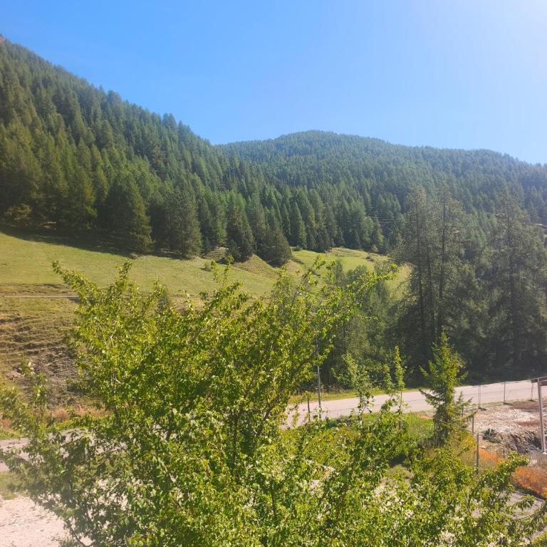 Résidences de Mélisa La Foux d'Allos - Appartement 1 Chambre - 8