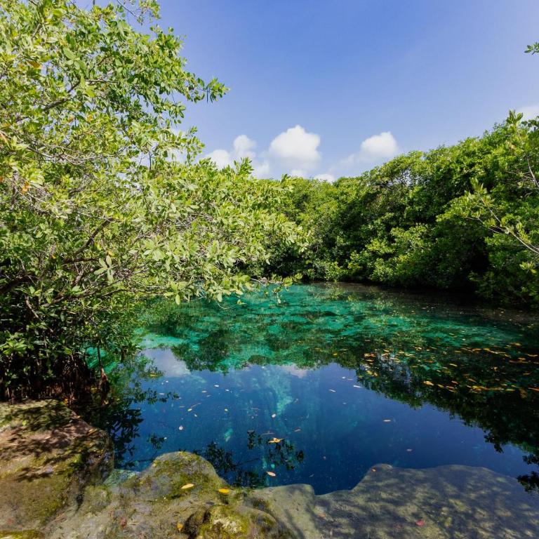 Apartment in Tankah Bay Tulum where Jungle meets Beach - Apartment mit 1 Schlafzimmer - 27