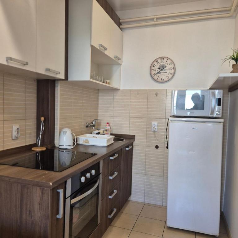 Belgrade Downtown - Appartement 1 Chambre - 15