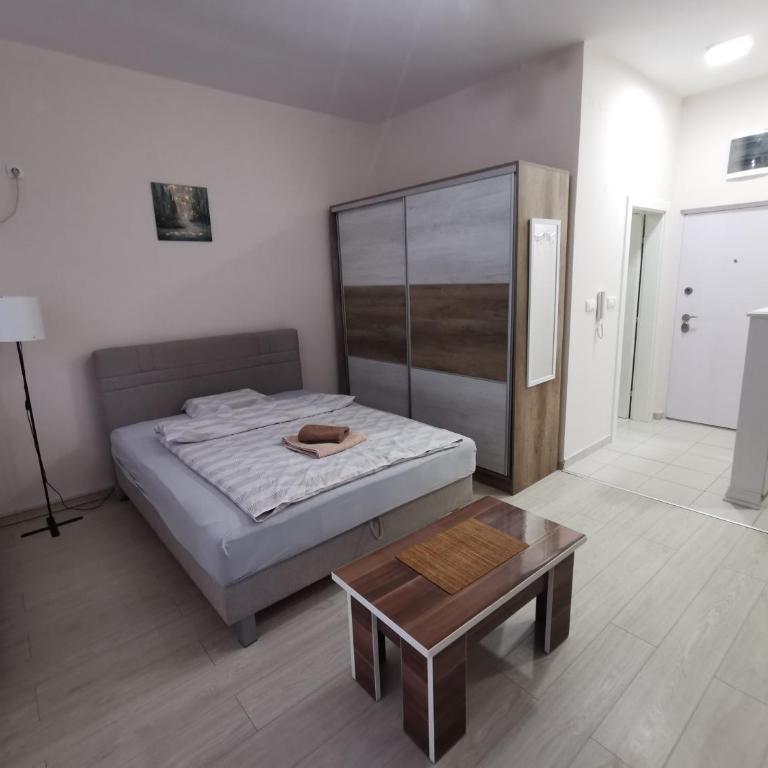 Apartman Banjski snovi - Banja Koviljača - Superior Apartman sa Balkonom - 1