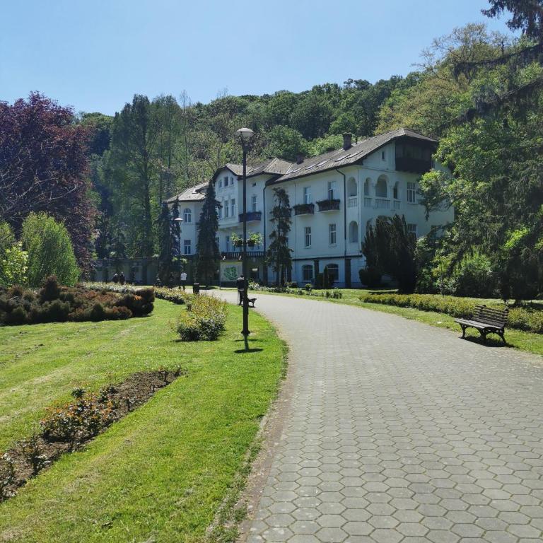 Apartman Banjski snovi - Banja Koviljača - Superior Apartman sa Balkonom - 2